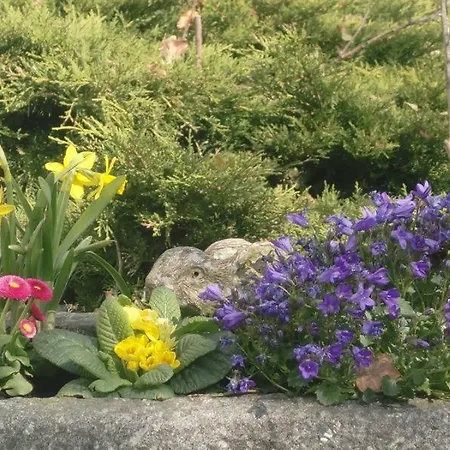 فندق Spitze Warte Rüthen